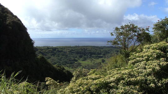 毛伊岛山谷远眺太平洋视频素材模板下载