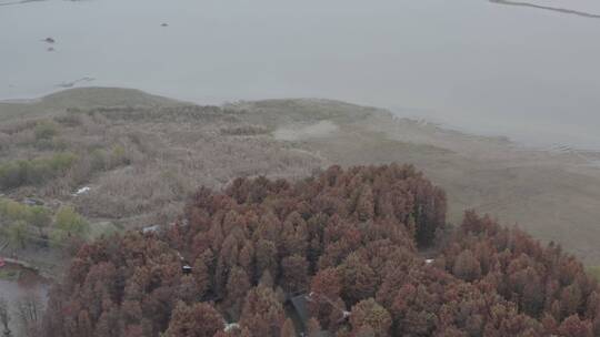 临安青山湖