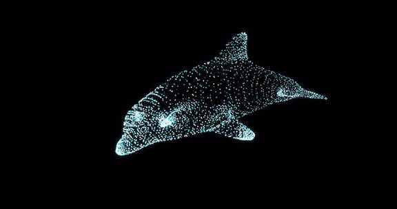 海豚粒子 唯美 发光海豚鲸鱼元宇宙粒子