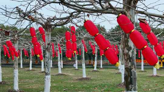春节喜庆大红灯笼