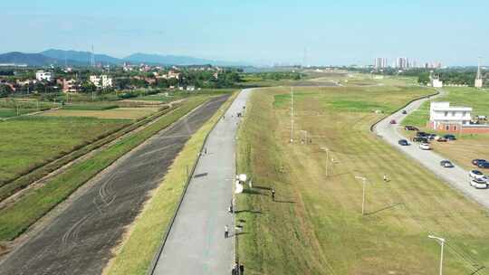 中国广东省佛山市三水区三水梁家村大榕树视频素材模板下载