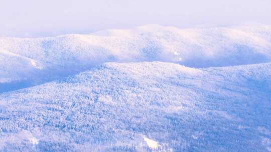 航拍林海雪原雾凇美景241231-7