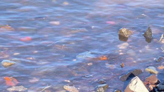 江边湖边碎石江水拍打江岸水流视频素材模板下载