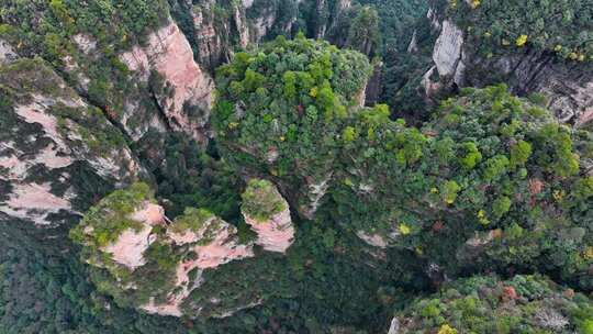 湖南张家界武陵源袁家界地质奇观