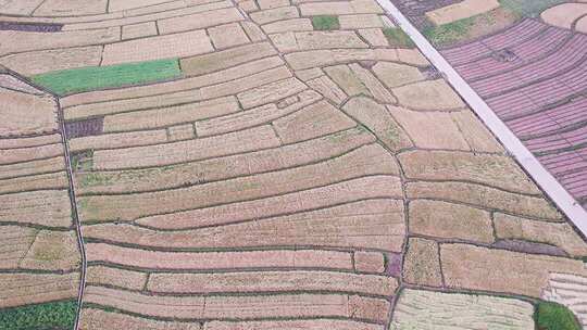 4K俯瞰农田田地三农农业场景航拍
