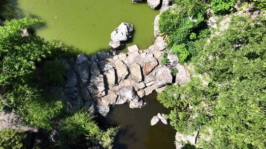 吴淞口炮台湾湿地公园