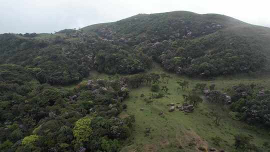 信宜八排顶高山杜鹃花航拍