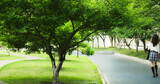 春季都市公园绿树绿草草坪高清在线视频素材下载