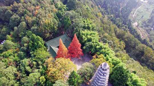 四川阆中市白塔山公园白昼晴天航拍实时俯拍