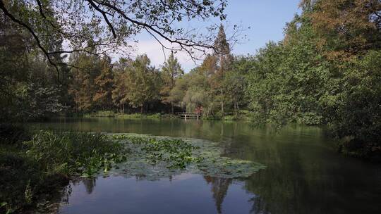 杭州西湖景区杨公堤风景