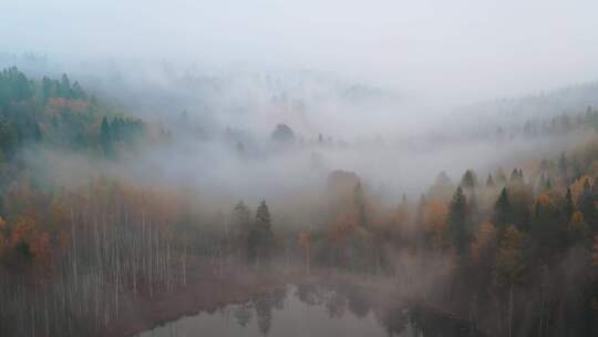 雾气朦胧的森林航拍素材