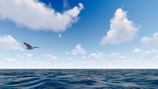 一只海鸥飞过海平面升格慢动作视频素材模板下载