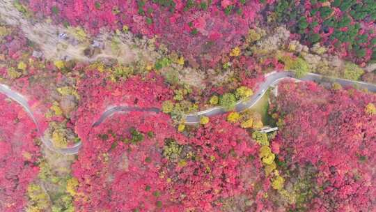 山东济南南部山区红叶谷秋天航拍