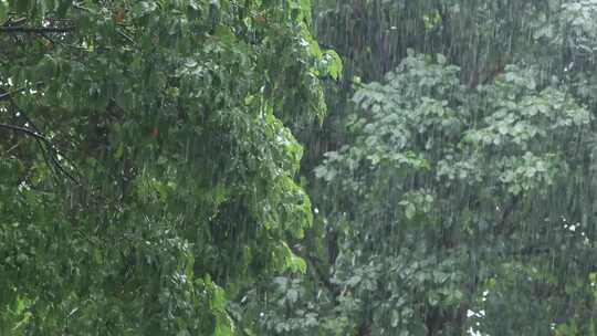 下雨天雨水大雨雨滴雨景