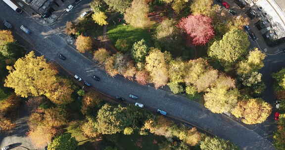 爱丁堡马里庄园壮观的无人机照片，展示了树