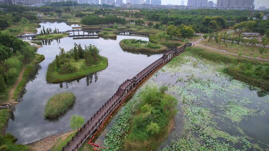 长沙松雅湖湿地公园