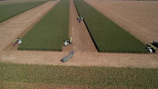 航拍 农业种植 收割农田掉头作业视频素材模板下载