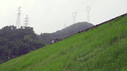 清晨雨后公园两颗榕树下草地露营空景