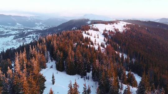 翻过一座覆盖着白雪和松树的山