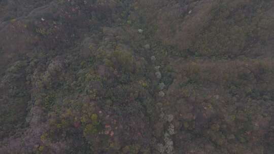 秦岭山脉秋季风景云海