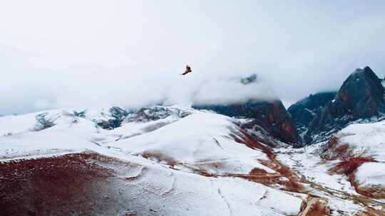 航拍雪中的甘南甘加秘境白石崖视频素材模板下载