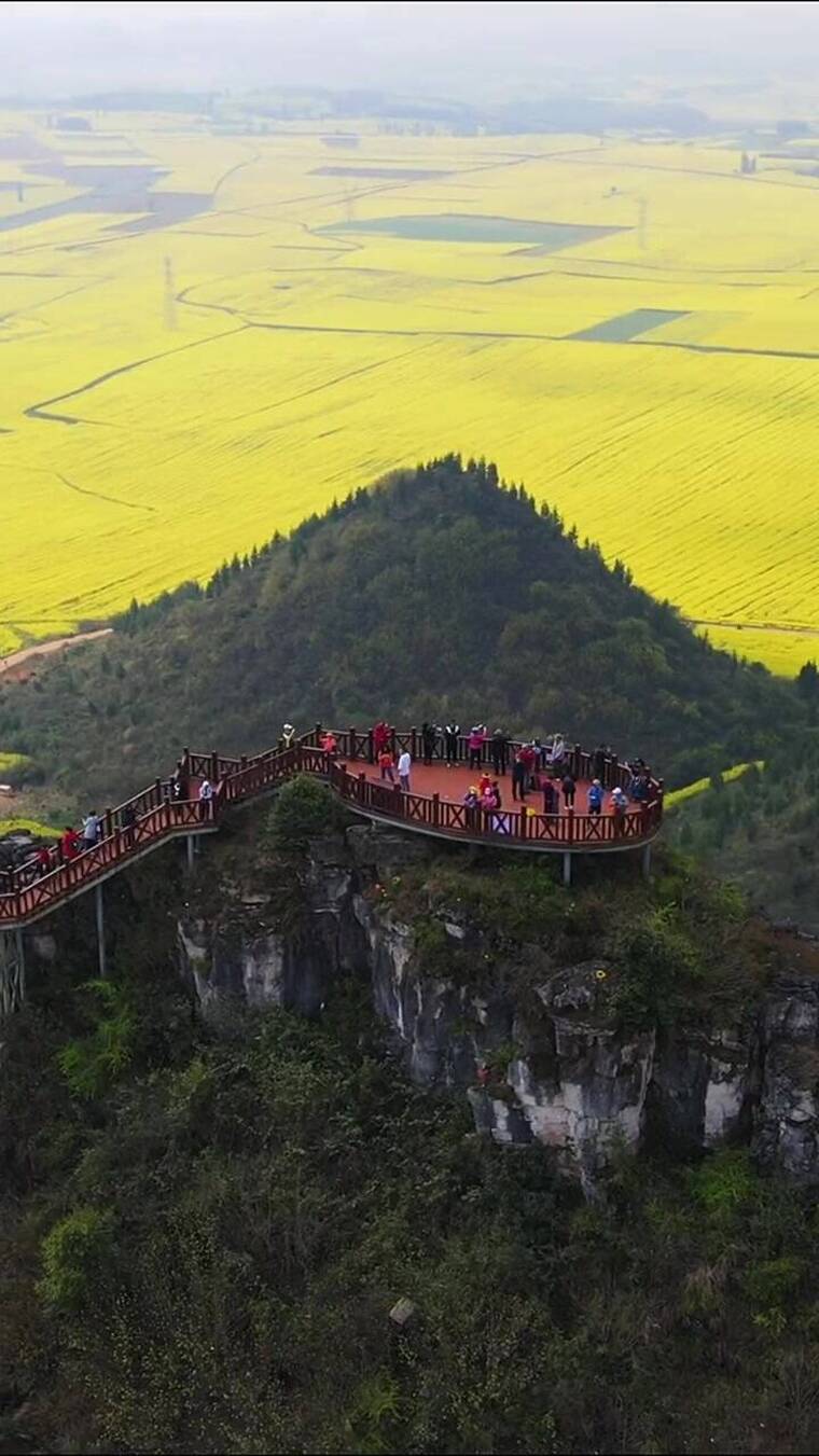 视频素材，唯美意境，清新自然，治愈系风景