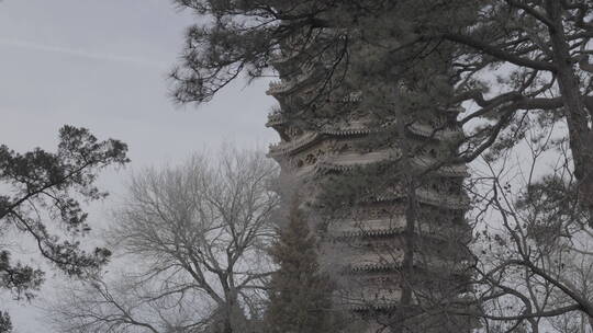 北京大学-博雅塔