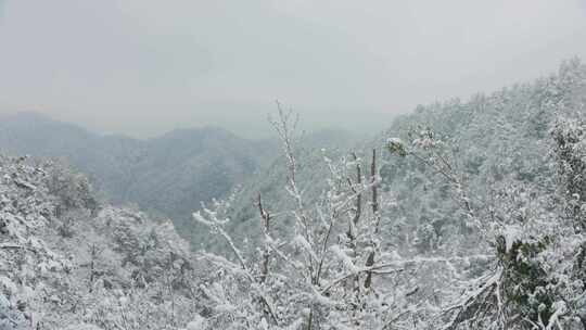 雪后山林全景