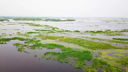 航拍饶河挠力河湿地风光