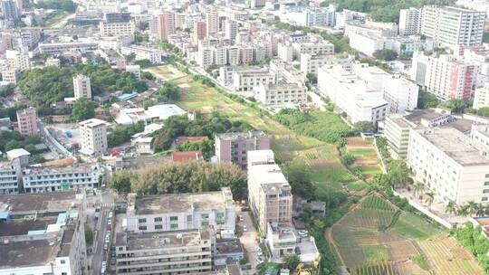 航拍深圳龙华区观澜现代化城市建设