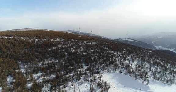 张家口崇礼雪山森林4k