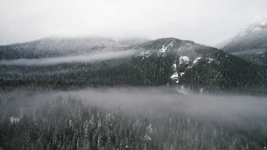 山，冬天，雪，华盛顿