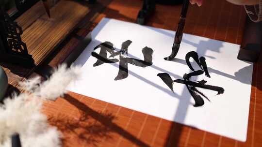 合集-芒种节气书法展示