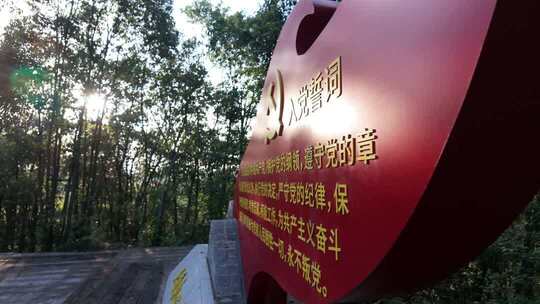 入党宣誓党建红色旗帜