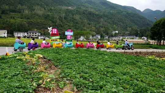 水稻稻田稻谷丰收稻穗粮食大米稻子