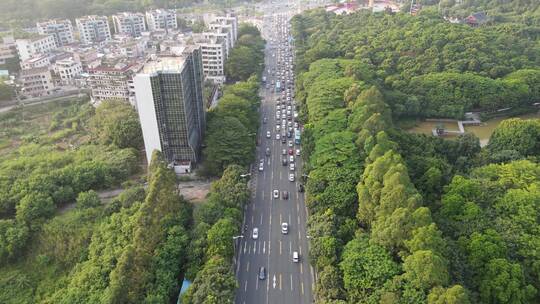 下班时段城市道路