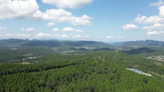 广元剑阁古蜀道古柏晴朗的翠云廊航拍素材