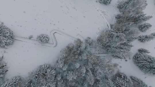 航拍新疆喀纳斯雪景