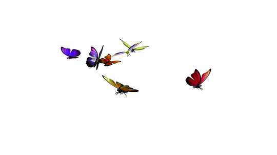彩色蝴蝶飞舞视频素材模板下载