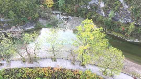 4K航拍重庆唯美黎坪森林公园风景区