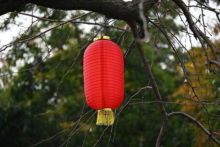 节日里的新篇章 喜庆 温暖 节日 新年