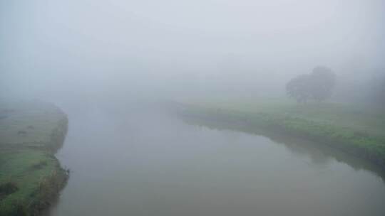 河流，雾，薄雾，雨林