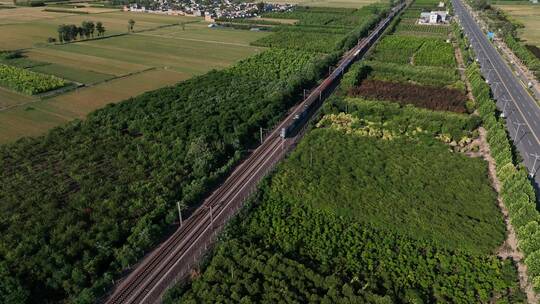 洛阳古城古建筑宗教文化艺术光影遗址实拍