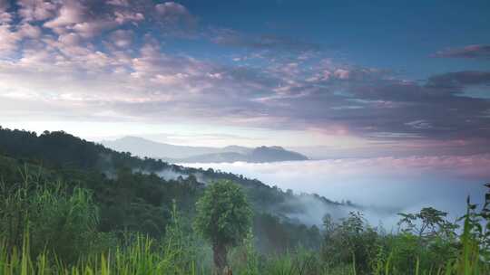 早晨山脉云雾缭绕仙境旅游森林云南风景