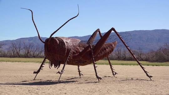 沙漠中的巨型蚂蚱雕塑视频素材模板下载
