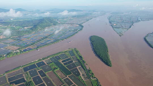 珠江三角洲冲积平原水松林航拍