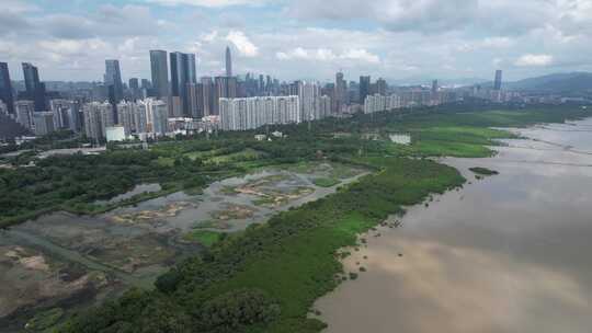 4K航拍深圳福田红树林湿地保护区