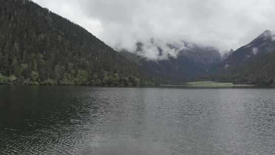 4k超清川西高原航拍湖泊牧场山谷牛群马匹