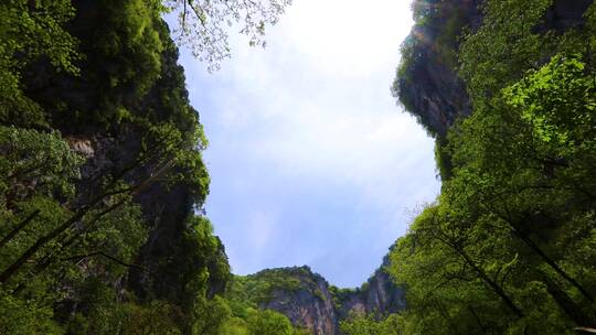 陕南大山里绿色生态仰望天坑，太壮观了！