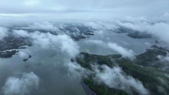 【多镜头】湖北武汉东湖湿地云海4K航拍